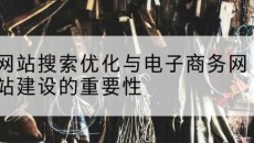 网站搜索优化与电子商务网站建设的重要性